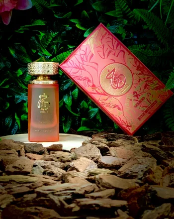 Fusion Khair - vue alternative