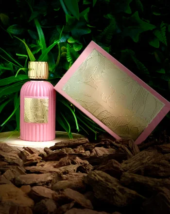Qissa Pink - vue alternative