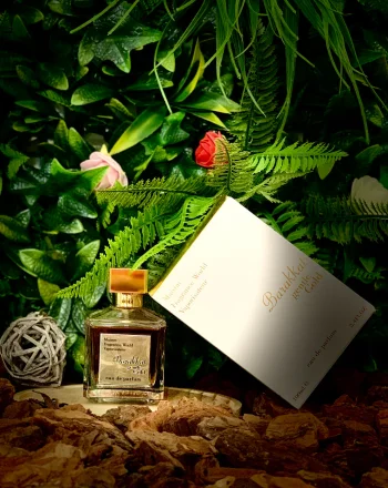 Barakkat Gentle Gold - vue alternative