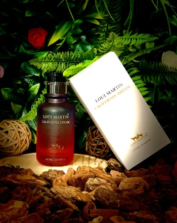California Dream - vue alternative